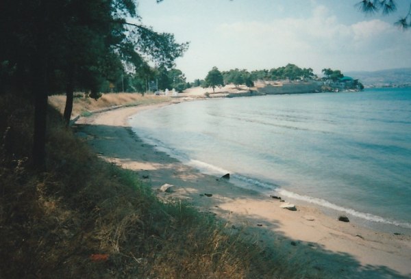 Βόλος: Νεκρός 15 ημέρες ήταν ο άνδρας που εντοπίστηκε στη θάλασσα – Τι έδειξε η ιατροδικαστική