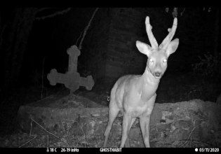 ΕΜΣΤ: «Ο Ελληνικός Μήνας στο Λονδίνο 1975, 50 Χρόνια Μετά» – Ημερίδα και εκδηλώσεις