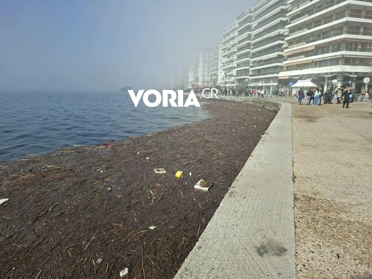 Γέμισε ο Θερμαϊκός στη Θεσσαλονίκη με χιλιάδες πλαστικά, καλαμιές και φελιζόλ