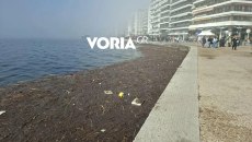 Γέμισε ο Θερμαϊκός στη Θεσσαλονίκη με χιλιάδες πλαστικά, καλαμιές και φελιζόλ