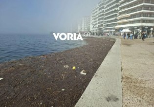 Γέμισε ο Θερμαϊκός στη Θεσσαλονίκη με χιλιάδες πλαστικά, καλαμιές και φελιζόλ