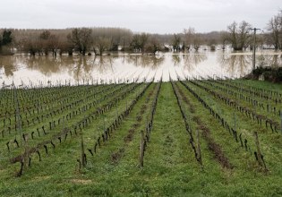 Κλιματική αλλαγή: Οι εκτεταμένες πλημμύρες στη Μεσόγειο πυροδοτούν φόβους για ελλείψεις και άνοδο τιμών