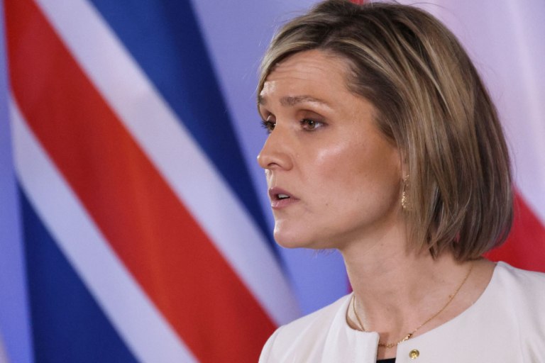 Ισλανδία: Θα διεξαγάγει δημοψήφισμα για την ένταξη στην ΕΕ «τους επόμενους μήνες»