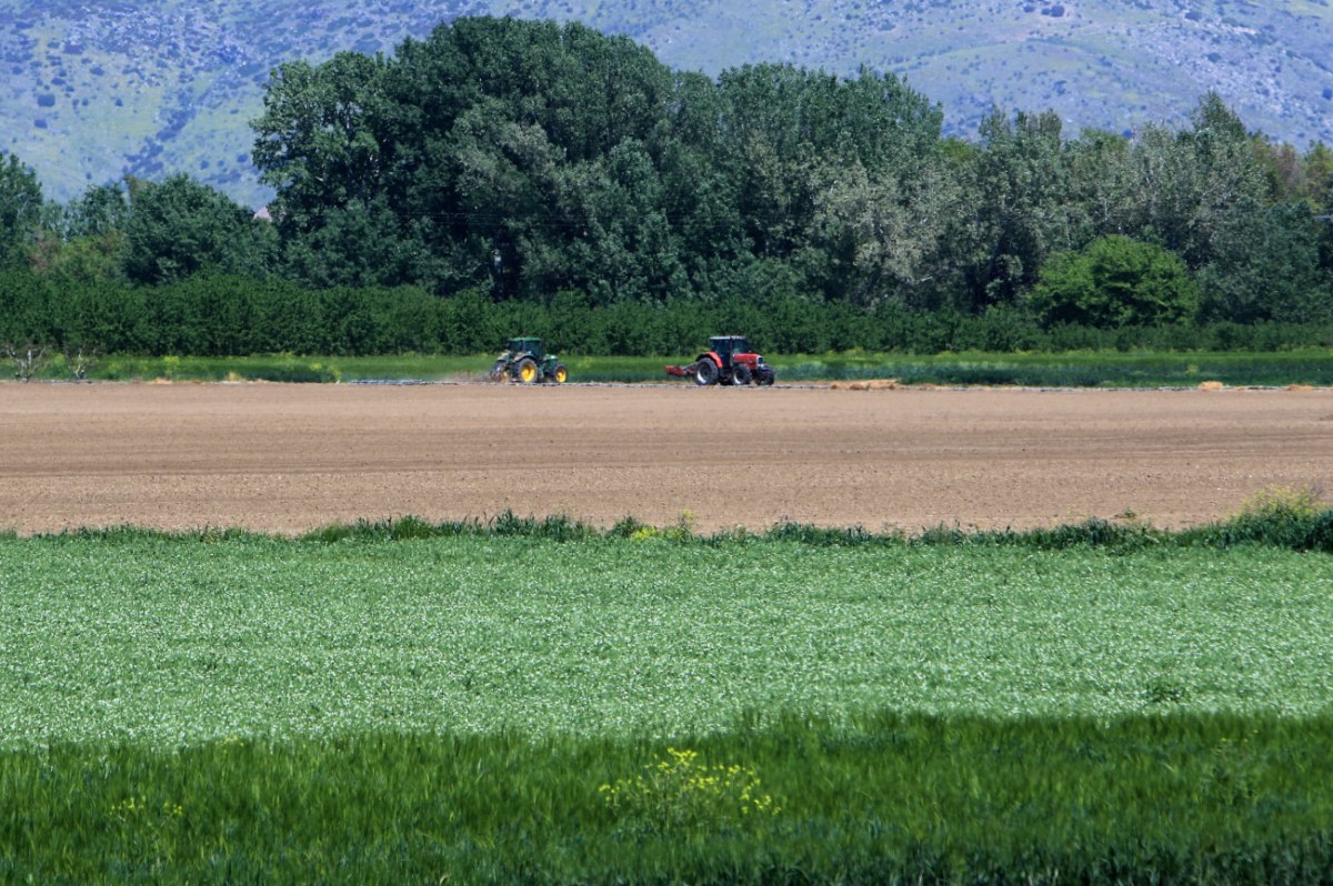 ΠΑΣΟΚ: Η κυβέρνηση οφείλει να καταλάβει ότι η αγροτική πολιτική δεν προσφέρεται για διοικητικούς πειραματισμούς