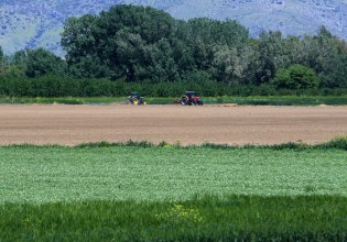 ΠΑΣΟΚ: Η κυβέρνηση οφείλει να καταλάβει ότι η αγροτική πολιτική δεν προσφέρεται για διοικητικούς πειραματισμούς