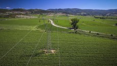 Ακίνητα: Χωρίς ιδιοκτήτη 1,85 εκατομμύρια γεωτεμάχια