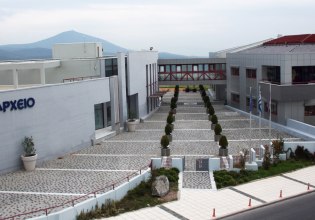 Δήμος ανησυχεί για την εμφάνιση λύκων και αγριόχοιρων στον αστικό ιστό και ζητάει την απομάκρυνση τους