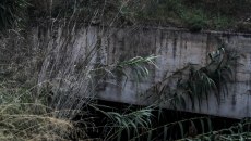 Νέα Πέραμος: Νεαρός άνδρας εντοπίστηκε νεκρός σε ρέμα