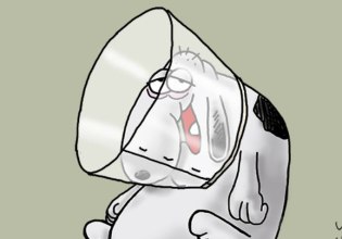 Αρκάς: Η καλημέρα και η γκρίνια της Πέμπτης