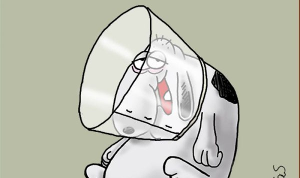 Αρκάς: Η καλημέρα και η γκρίνια της Πέμπτης