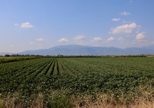 Πώς θα παραμείνουν ασφαλιστικά «καλυμμένοι» οι αγρότες [πίνακας]