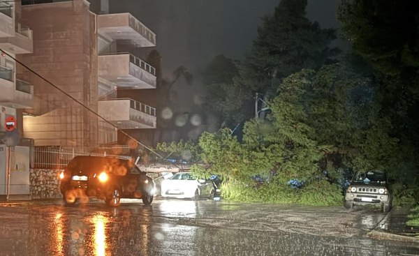 Μεγάλο δέντρο έπεσε σε μάντρα πολυκατοικίας στη Δροσιά – Ζημιές σε σταθμευμένα αυτοκίνητα