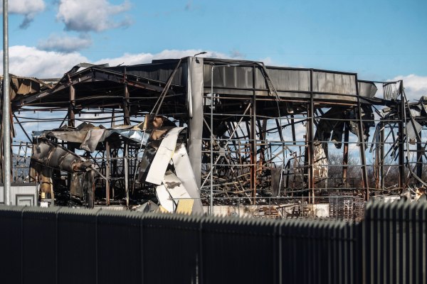 «Βιολάντα»: Προσωρινά κρατούμενος ο ιδιοκτήτης – Η στιγμή της σύλληψής του