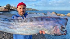 Σπάνιο ψάρι που «μοιάζει σαν να βγήκε από τη μυθολογία» ξεβράστηκε στις ακτές της Σικελίας