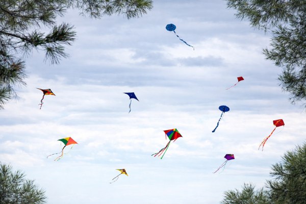 Πώς γιορτάζεται η Καθαρά Δευτέρα; Από του «Κουτρούλη τον Γάμο» μέχρι τον «Καντή» και τον «Ξομολόγο» της Κρήτης