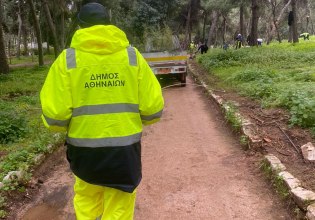 Δήμος Αθηναίων: 500 νέα δέντρα στο Άλσος Ιλισίων