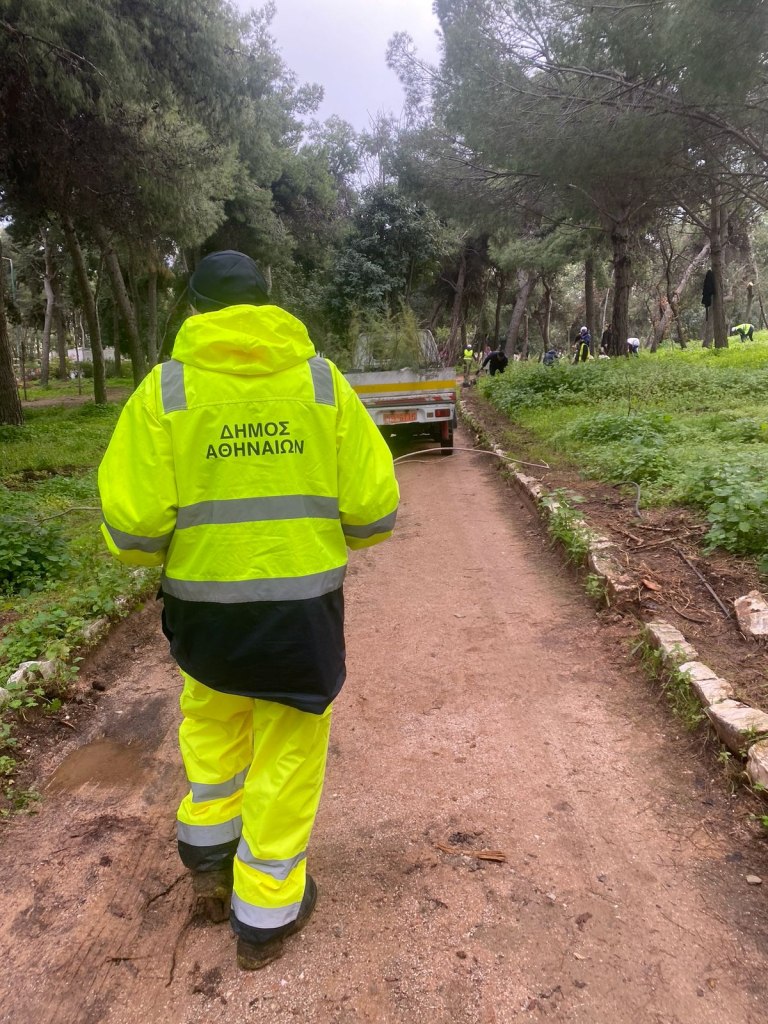 Δήμος Αθηναίων: 500 νέα δέντρα στο Άλσος Ιλισίων