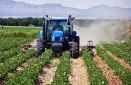 Greece at The Top in Agricultural Added Value in EU