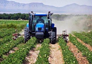 Greece at The Top in Agricultural Added Value in EU