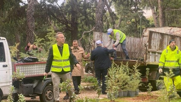 Athens Plants 500 New Trees in Ilisia Park