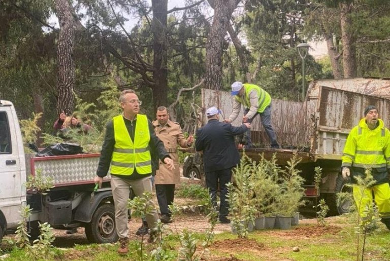 Athens Plants 500 New Trees in Ilisia Park