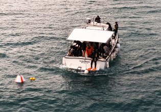 «Posidonia Oceanica: Do Not Disturb”: Η δεύτερη φάση ενός πολυδιάστατου έργου και μια ματιά στον αθέατο κόσμο του βυθού