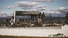 Βιολάντα: Στον ανακριτή την Τρίτη ο ιδιοκτήτης – Φωτογραφικά ντοκουμέντα με τα κενά ασφαλείας