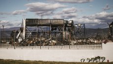 Βιολάντα: Για παράνομη διακίνηση υγραερίου έχει ελεγχθεί ο ιδιοκτήτης του εργοστασίου