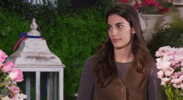 Η γη της ελιάς: Ένταση και ανατροπές