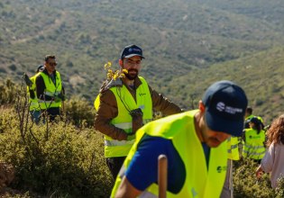 Αναδάσωση σε Πεντέλη και Παλλήνη στο πλαίσιο της περιβαλλοντικής στρατηγικής της HELLENiQ ENERGY