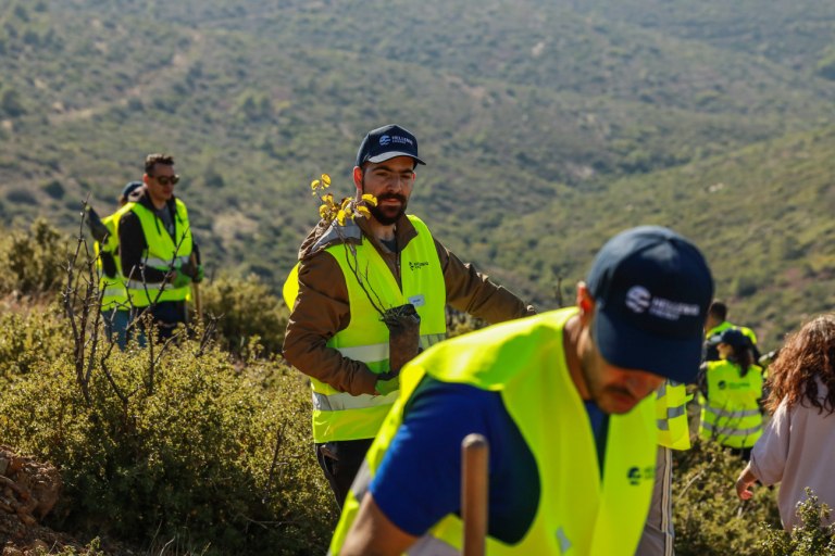 Αναδάσωση σε Πεντέλη και Παλλήνη στο πλαίσιο της περιβαλλοντικής στρατηγικής της HELLENiQ ENERGY