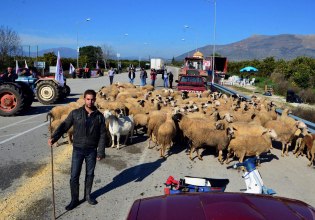 ΣΥΡΙΖΑ: Η κυβέρνηση Μητσοτάκη ξεκληρίζει συνειδητά την ελληνική κτηνοτροφία