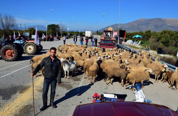 ΣΥΡΙΖΑ: Η κυβέρνηση Μητσοτάκη ξεκληρίζει συνειδητά την ελληνική κτηνοτροφία
