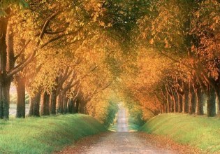 ΥΠΕΝ-Δήμοι: Προγραμματικές συμβάσεις για την δημιουργία και την ανάδειξη πεζοπορικών διαδρομών