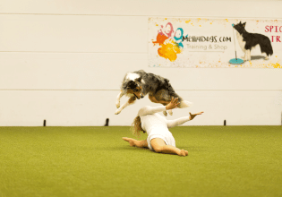 Τι διδάσκει το κυνάθλημα dog dancing στον σκύλο;