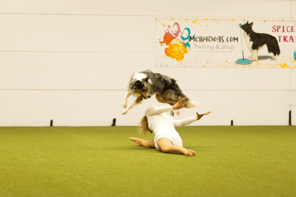 Τι διδάσκει το κυνάθλημα dog dancing στον σκύλο;