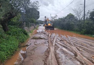 Κακοκαιρία: Προβλήματα στη Μεσσηνία από την ισχυρή βροχόπτωση – Κατολισθήσεις και πλημμυρισμένοι δρόμοι