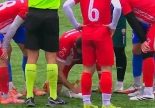 Τουρκία: Ποδοσφαιριστής επανέφερε στη ζωή γλάρο κάνοντάς του ΚΑΡΠΑ