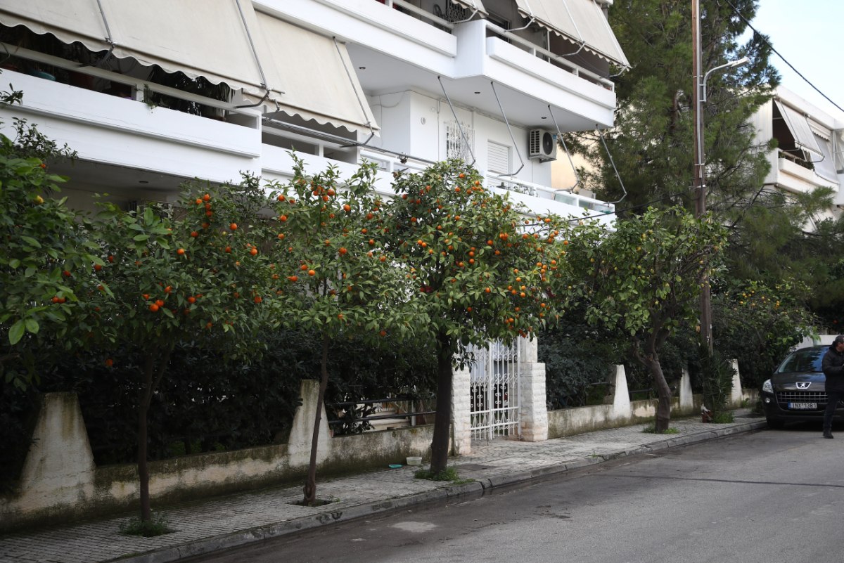 «Τα παιδιά δεν ξέρουν ότι πέθανε η πεθερά μου» -Τι λέει ο πρώην σύζυγος της 44χρονης για την τραγωδία στην Ελευσίνα