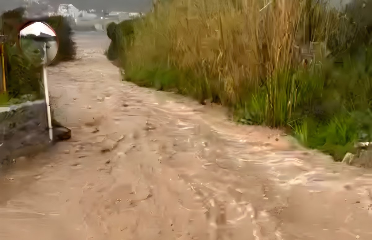 Προβλήματα στη Σάμο από την κακοκαιρία: Η θάλασσα έγινε ένα με τη στεριά – Κατολισθήσεις και πλημμυρισμένοι δρόμοι