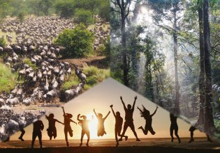 Ενιαία υγεία: 3 στις 4 λοιμώδεις νόσους προέρχονται από ζώα