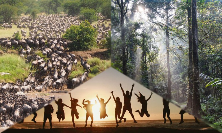 Ενιαία υγεία: 3 στις 4 λοιμώδεις νόσους προέρχονται από ζώα