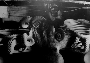 28ο Φεστιβάλ Ντοκιμαντέρ Θεσσαλονίκης: Σε ποιους θα απονημηθεί το Χρυσός Αλέξανδρος