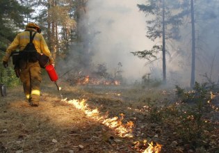 Φωτιά στη φωτιά: Πώς η προδιαγεγραμμένη καύση βοηθά στην πρόληψη των δασικών πυρκαγιών