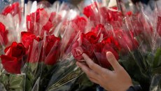 ΕΕ: «Τίποτα δεν εκφράζει την αγάπη όπως τα… χημικά» – Τα τριαντάφυλλα του Αγίου Βαλεντίνου συχνά καλύπτονται με φυτοφάρμακα