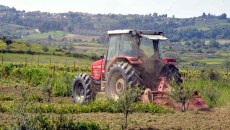 Αρχαία Ολυμπία: Νεκρός 54χρονος σε χωράφι στην Νεράιδα – Τον καταπλάκωσε το τρακτέρ του