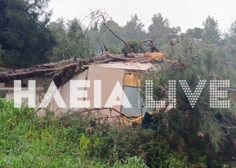 εικόνα που δείχνει το σπίτι στο Κατάκολο που κρίθηκε μη κατοικήσιμο μετά την πτώση του δέντρου