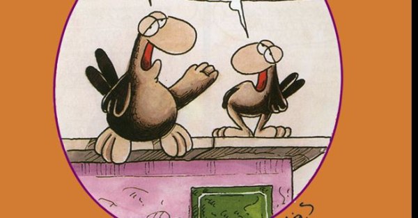 Αρκάς: Η καλημέρα της Πέμπτης