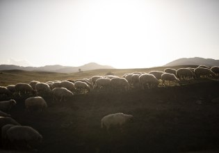 Δεν πείθουν οι απαντήσεις της ΑΑΔΕ για τις τελευταίες κατανομές του ΟΠΕΚΕΠΕ