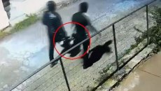 Κρήτη: Τι λένε οι συλληφθέντες για την εμπρηστική επίθεση με εντολή του Ρώσου πρώην δήμαρχου